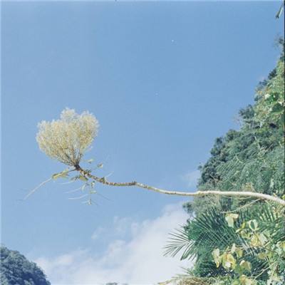火柴人破坏王游戏下载