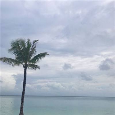 安趣黑暗信仰手游下载